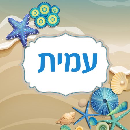 קופסת אוכל  – צדפות שם