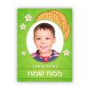 מגנט לפסח פרחים