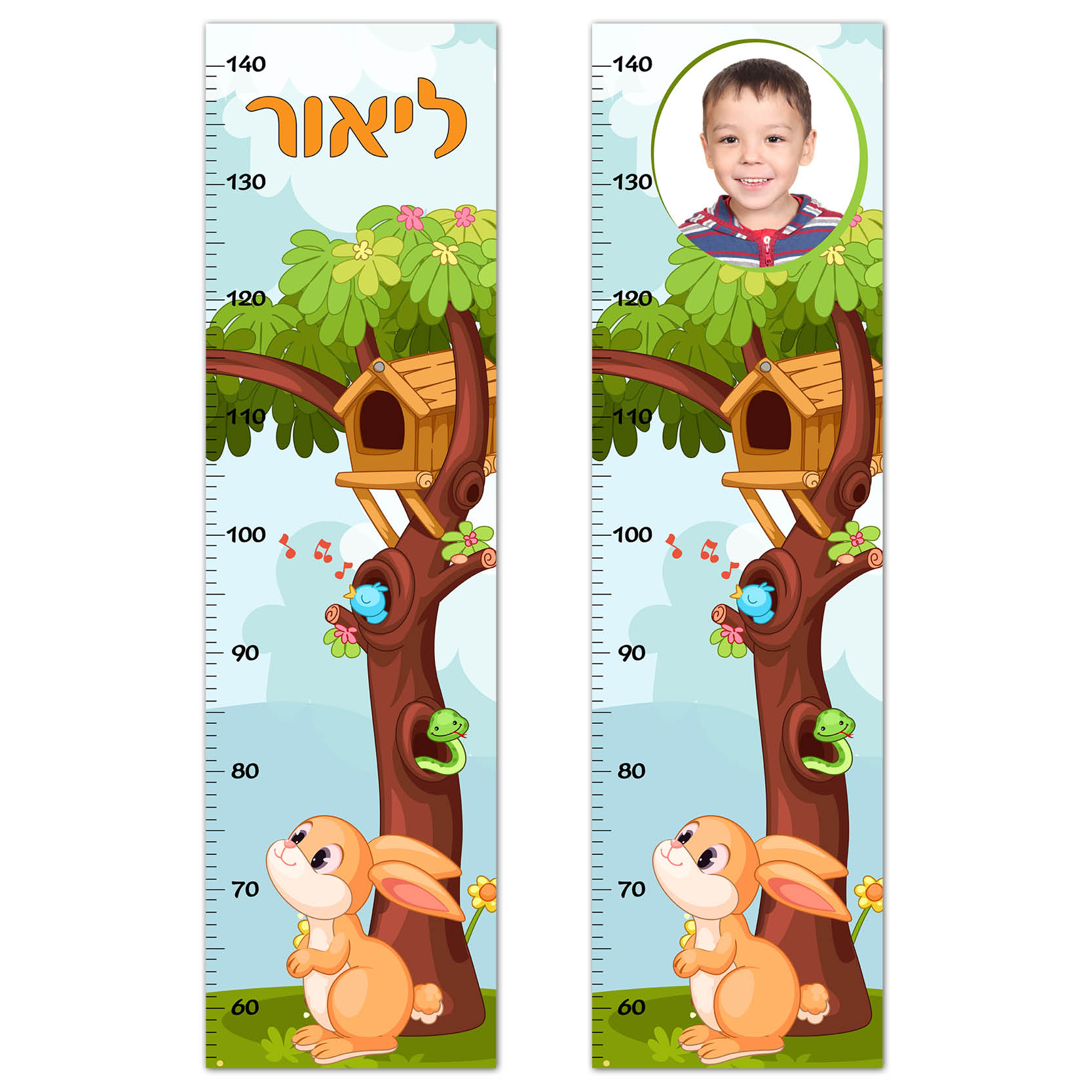 מד גובה חיות מד גובה חיות