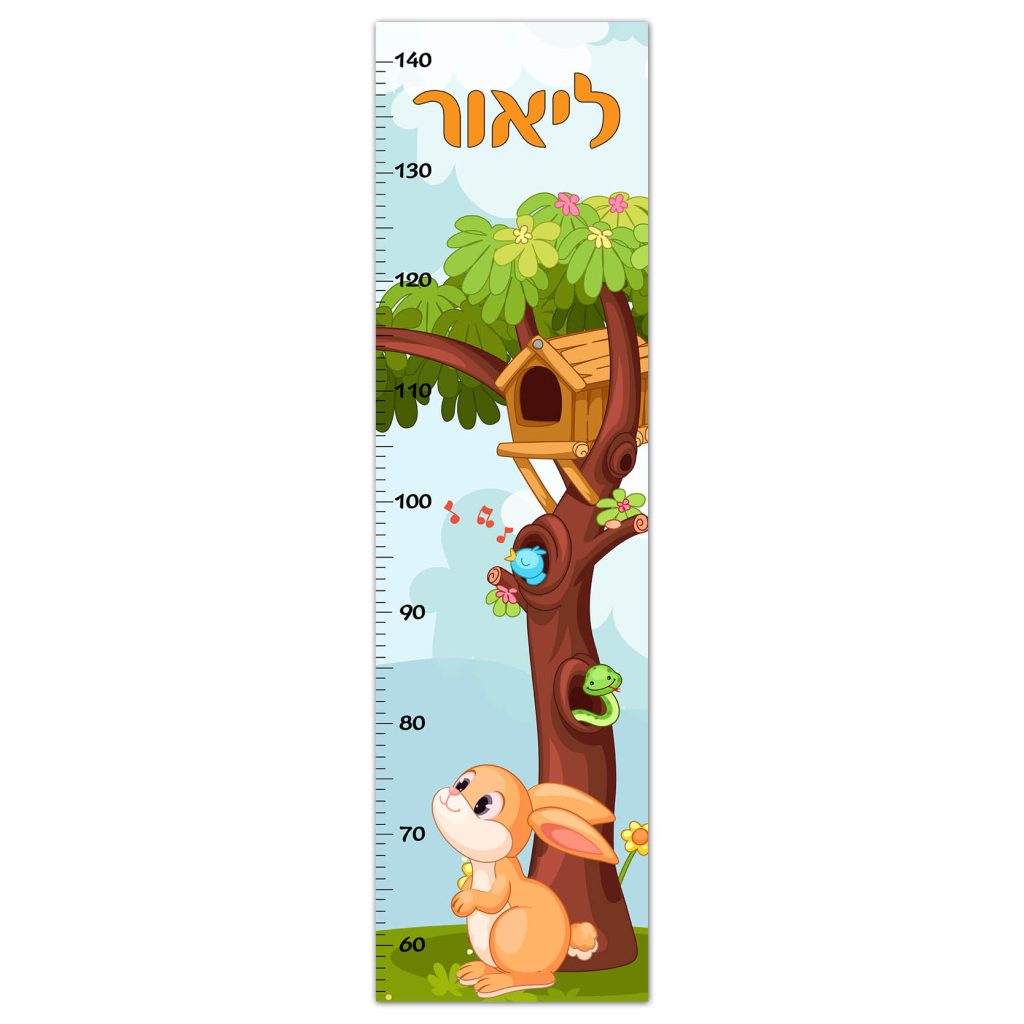 חיות שם