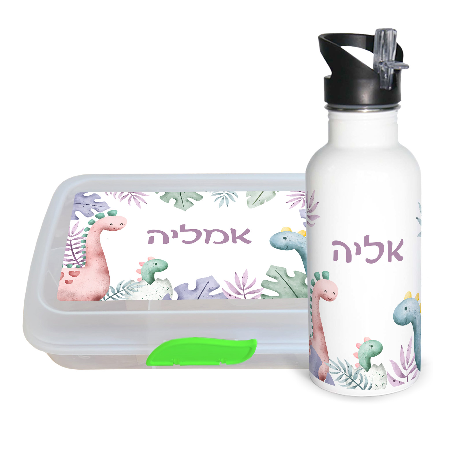 סט בקבוק וקופסה מלבנית דינוזאורים סט בקבוק וקופסה מלבנית דינוזאורים
